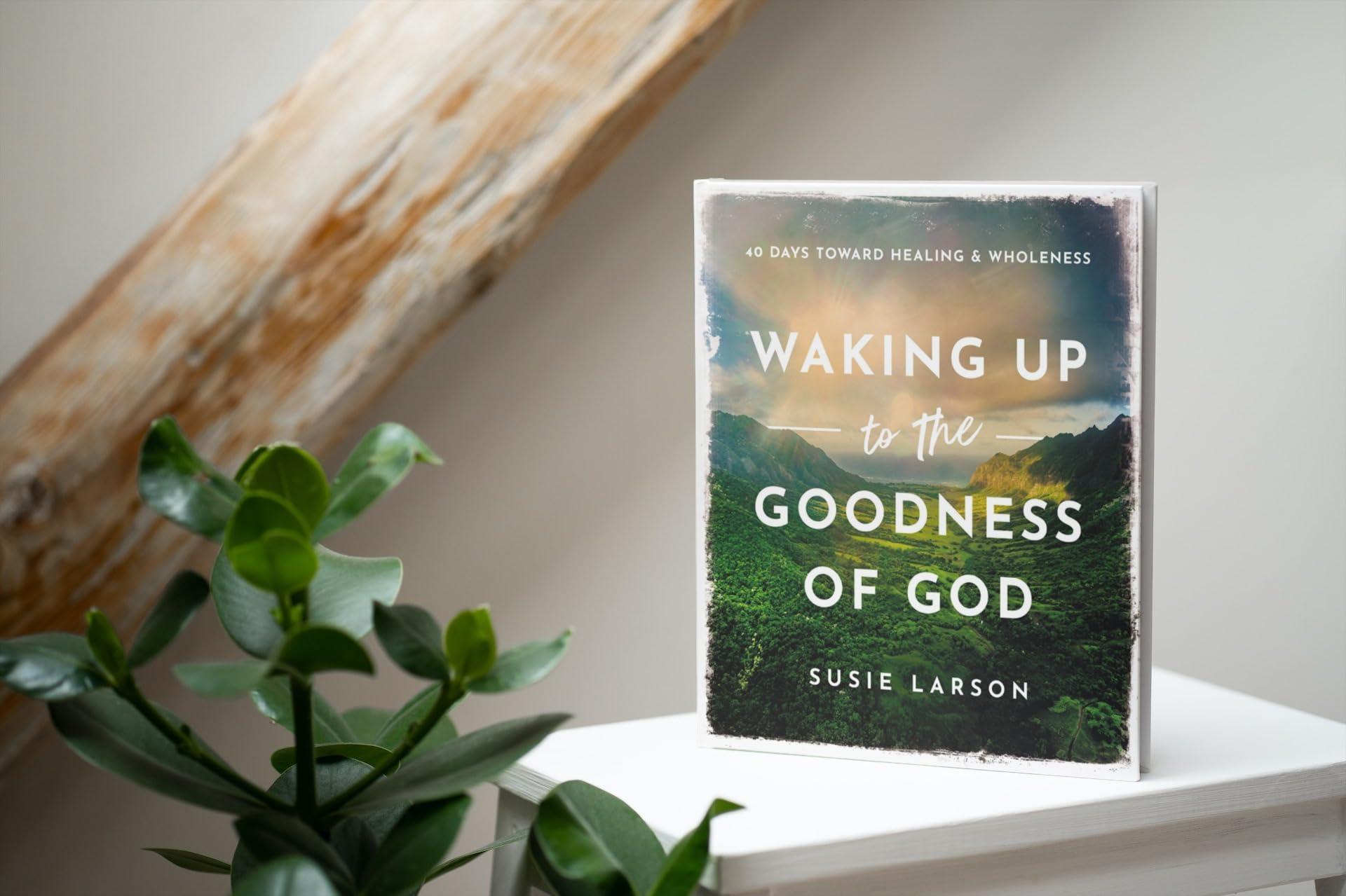 Waking Up to the Goodness of God: 40 Days Toward Healing and Wholeness - Image 4