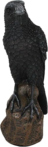Miniatura 6 de Ebros Gift Figura gótica de cuervo cuervo carroñero pájaro posado en escultura de roca 6 pulgadas de alto, osario macabro presagro de condenación