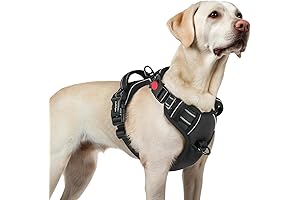 rabbitgoo Dog Harness, Premium Dog Harness for Large Dogs, No-Pull Dog Harness...