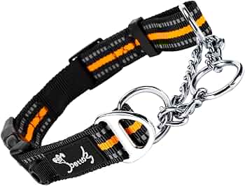 MYSUNBAR Hundehalsband Mit Zugstopp & Sicherheitsschloss – Verstellbar, Reflektierend
