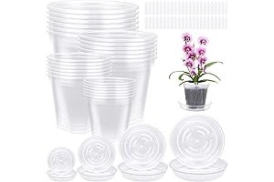 Affordable Ioffersuper Clear Pots for Thriving Plants