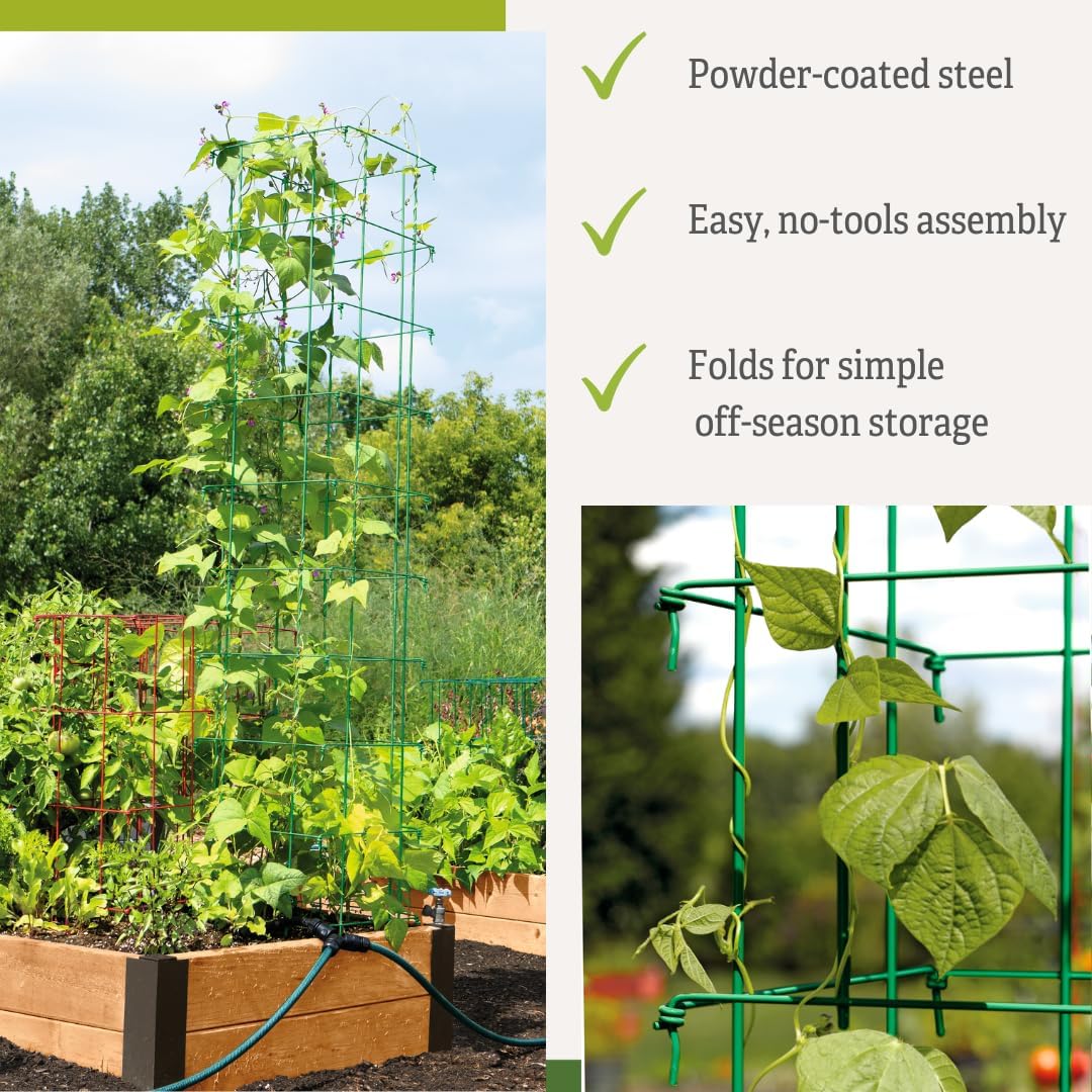 Gardeners Supply Company Large Bean Tower Plant Support | Sturdy Weatherproof Outdoor Beans, Tomato & Other Climbing Vegetable Garden Stake | 75" H - Green