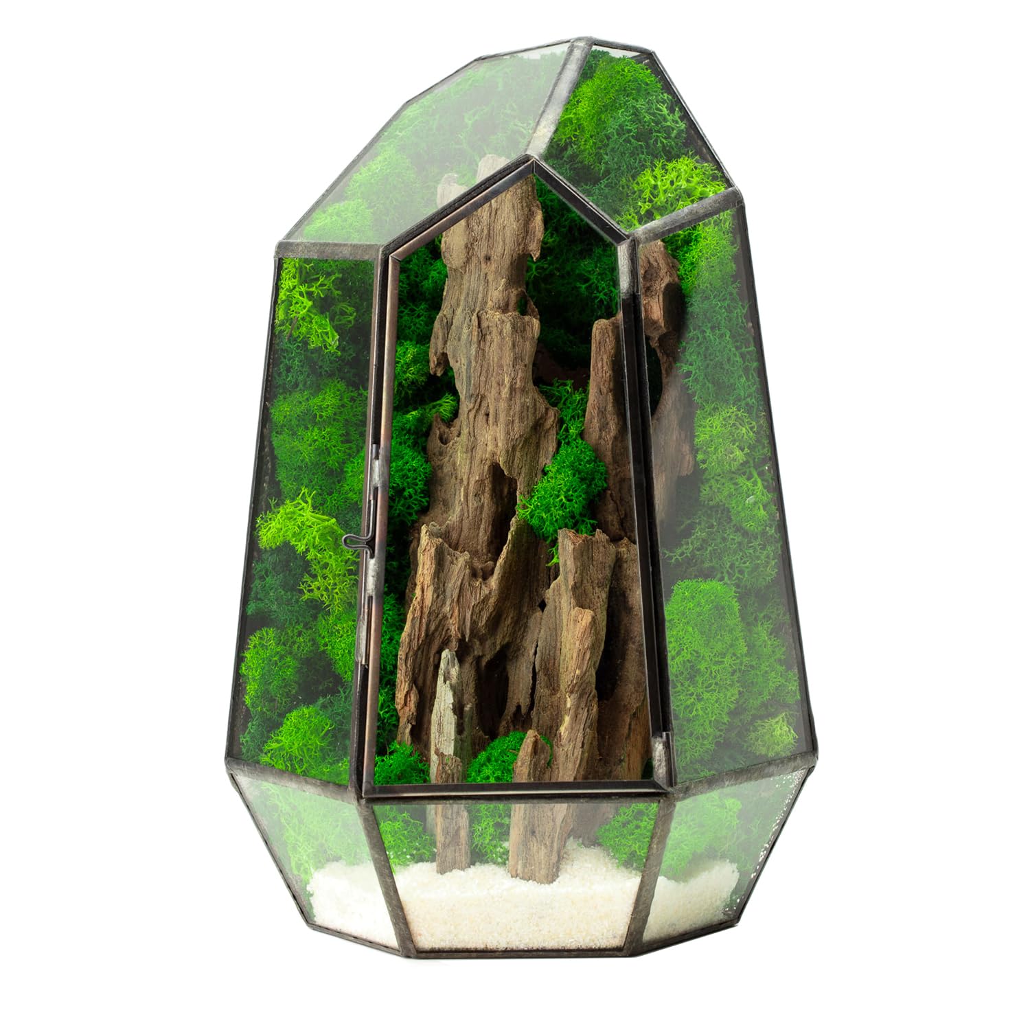Terrario Stabilizzato Fløya in Vetro completo, Design Nordico con Legno, Muschi e Licheni Stabilizzati Arredo Naturale Elegante Senza Manutenzione per Casa, Ufficio e Idee Regalo Green