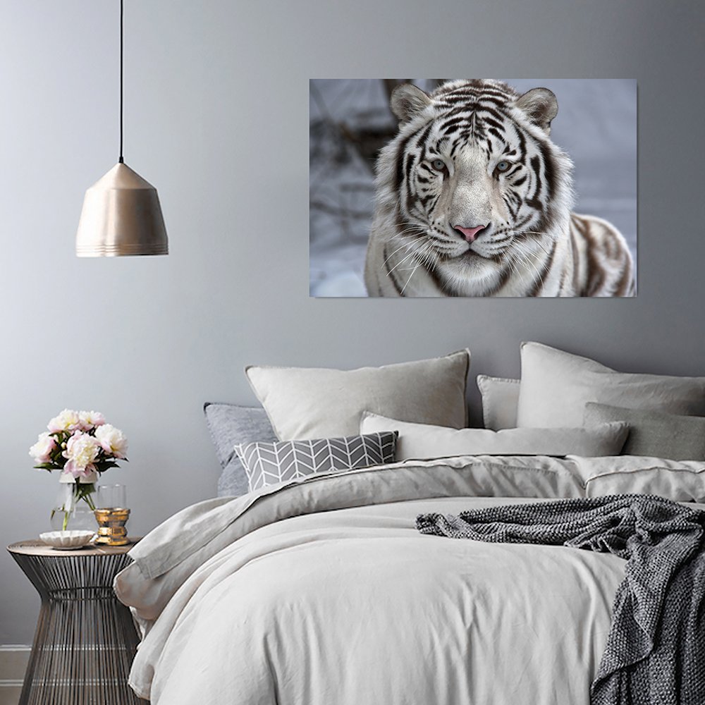 Feeby Cuadro En Lienzo Tigre 100x70 cm 1 Pieza Modernos Impresión Artística Calidad Fotografica Imagen Decoración de Pared Salon Dormitorio Cocina Oficina Pasillo Blanco Negro