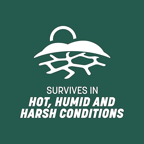 Miniatura 8 de Pennington Smart Seed Sun and Shade - Mezcla de semillas de césped alto para césped del sur, 20 libras