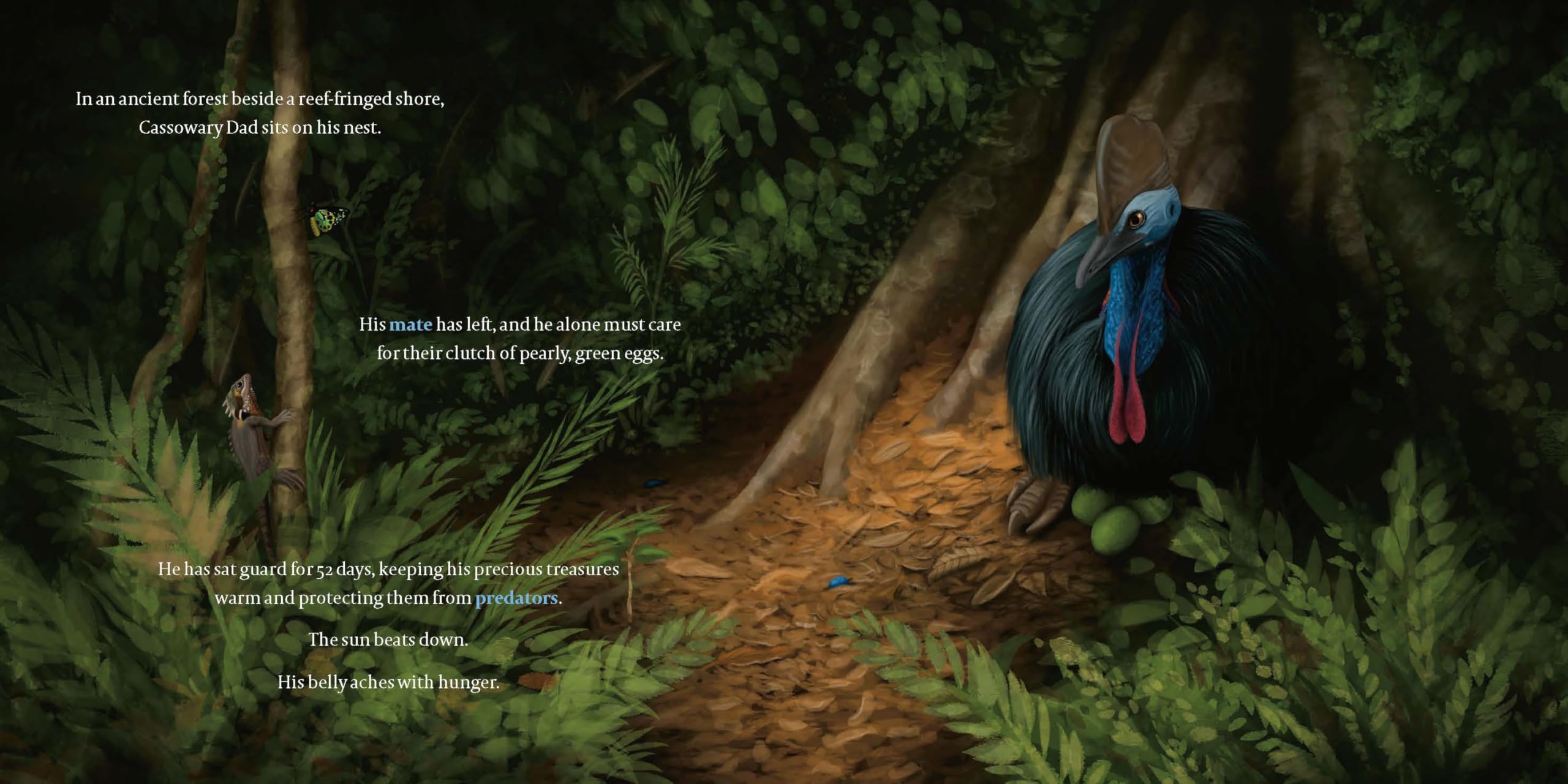 Cassowary Dad