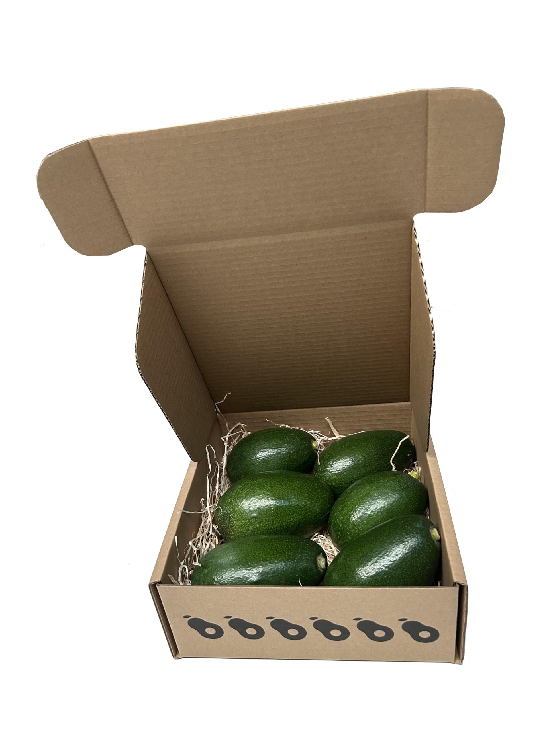 Aguacate variedad Bacon, caja de 2kg. De 6 a 8 piezas. Produción propia, sin tratamientos quimicos
