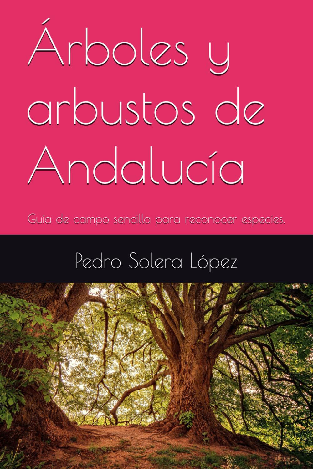 Árboles y arbustos de Andalucía: Guía de campo sencilla para reconocer especies.