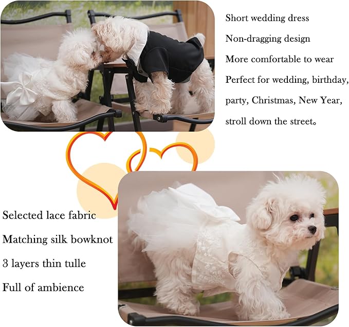 Vestido de Princesa con Encaje para Perra Pequeña, Talla XS miniatura 4