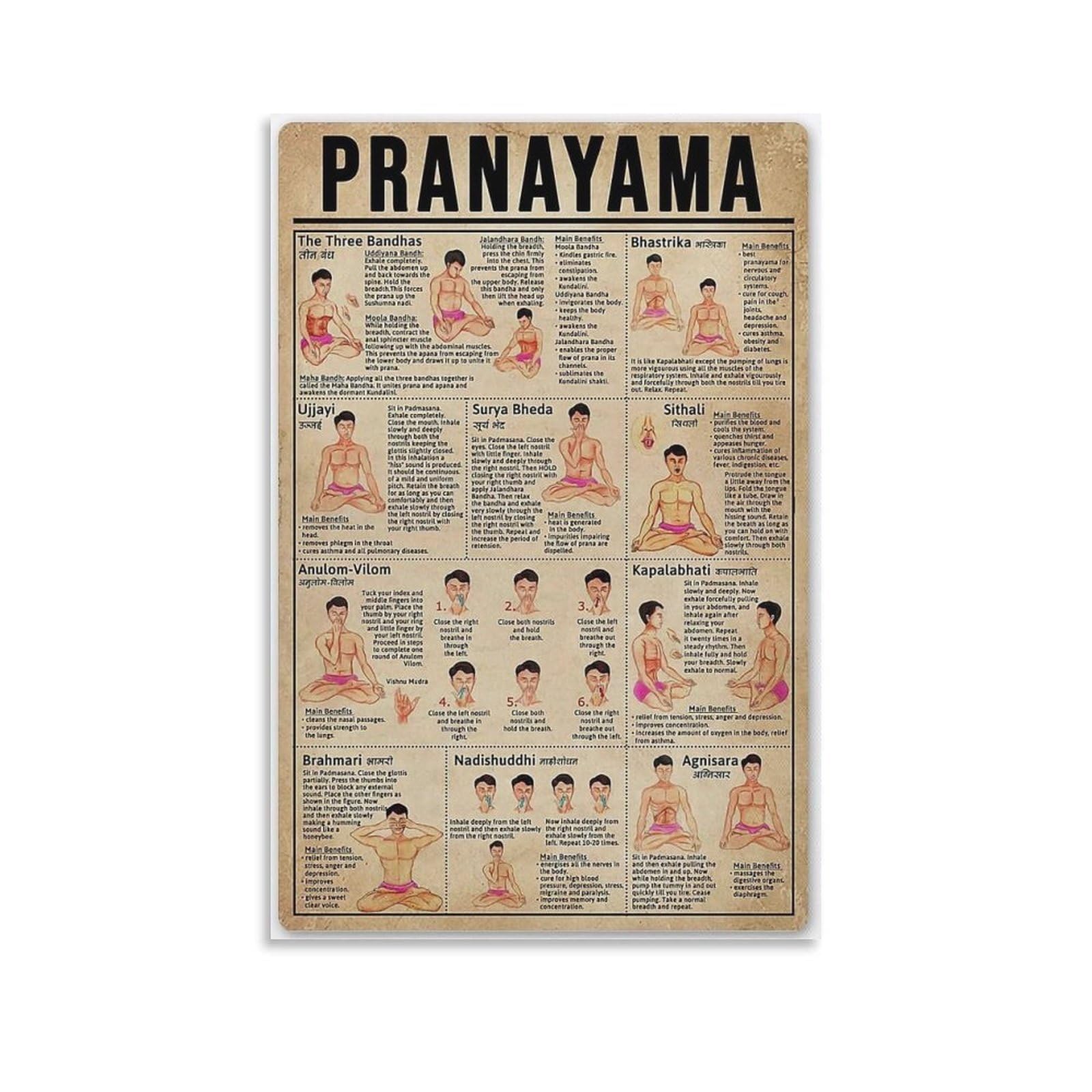C-01 Yoga Pranayama Types Posters Wall Decor Art Printing Plaque Room Decor Science Knowledge Retro Bathroom Decor 12X17 Inches