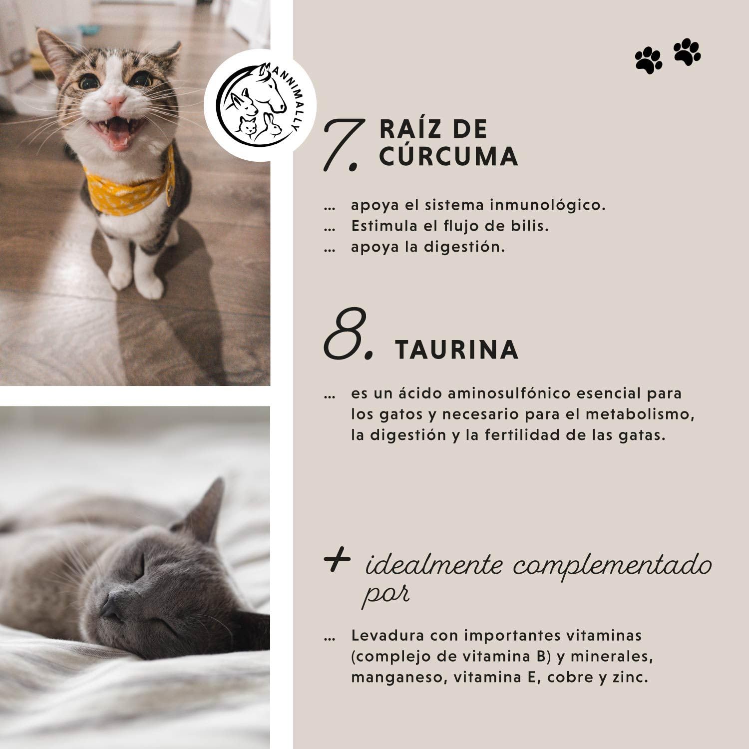 Annimally Polvo Articular Gatos | 120g para 4 Meses - La Alternativa a Las tabletas para articulaciones. Polvo articulaciones saludables con mejillón de Labios Verdes, MSM, Garra del Diablo