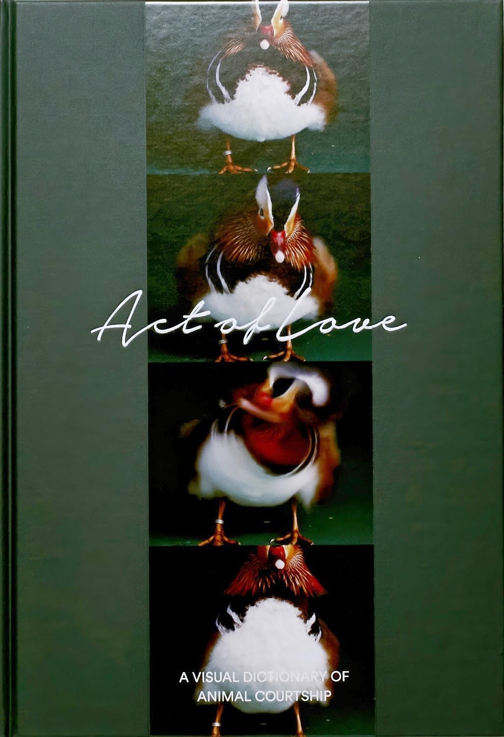 Amazon.co.jp: Act of Love : 上田恵介, 小宮輝之, 大渕希郷, Act of