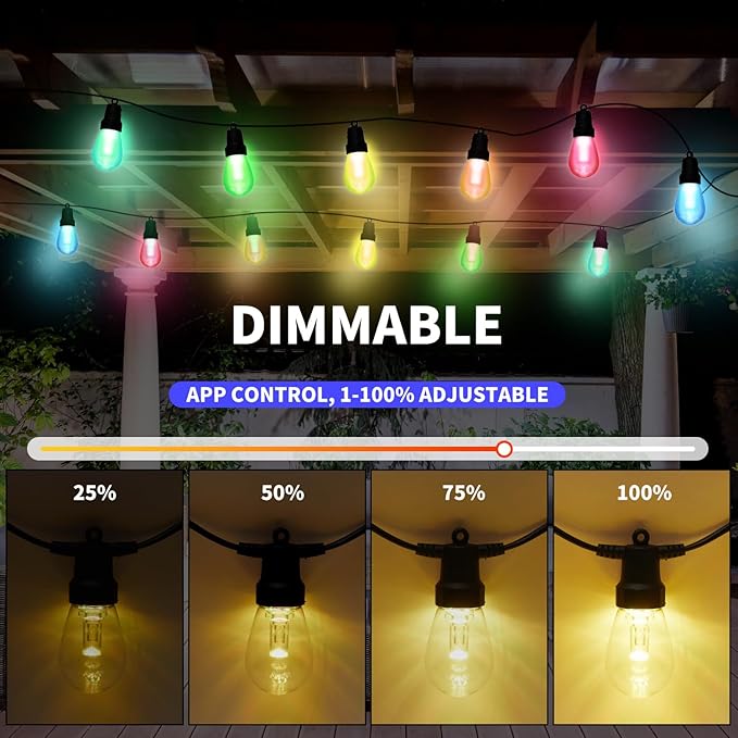 Cuerda de Luces Exterior 50ft 20 Bombillos LED RGBW Dimmable IP66 miniatura 5