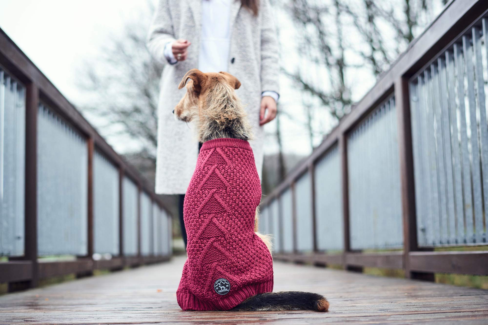 Jersey para Perro Hunter Malmö Burdeos