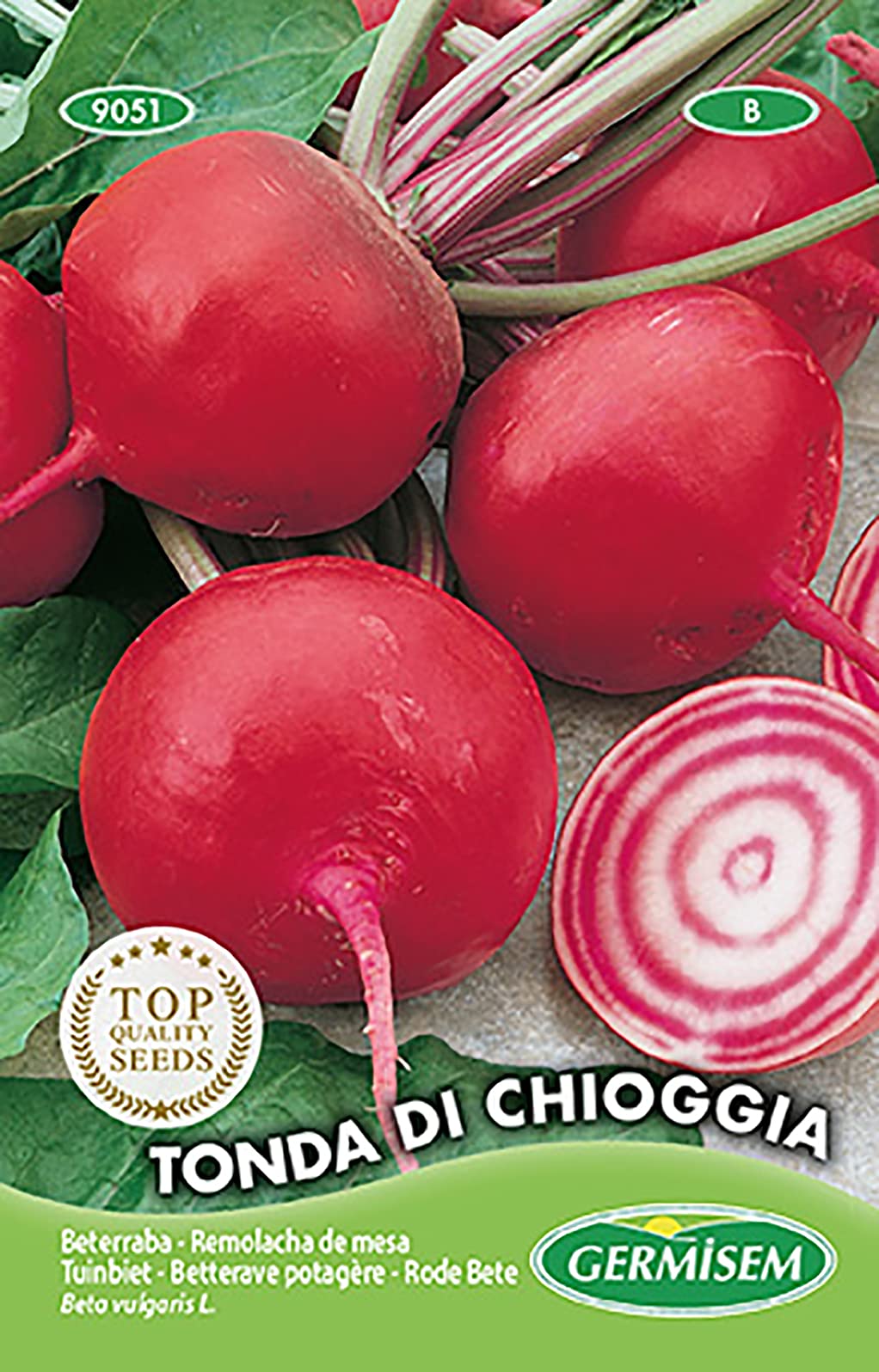 Rode Bete TONDA DI CHIOGGIA