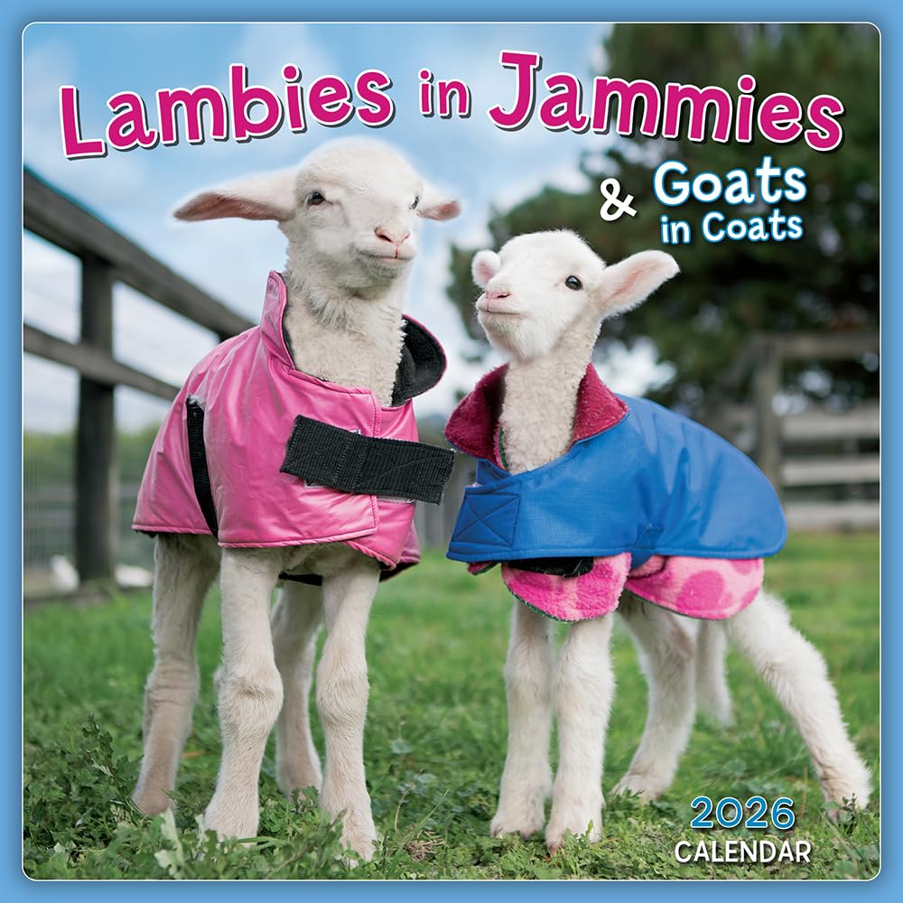 Lambies in Jammies & Goats in Coats 2026 Mini Wall Calendar, Cute Farm Animal Photography from Edgar’s Mission Rescue, 7" x 7"