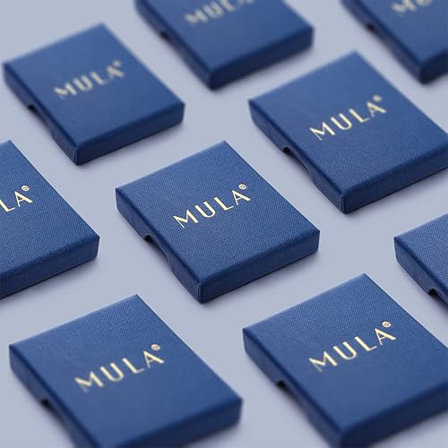 Miniatura 5 de MULA Aretes de aro de plata de ley 925 para mujer, bonitos aretes de circonita cúbica 5A