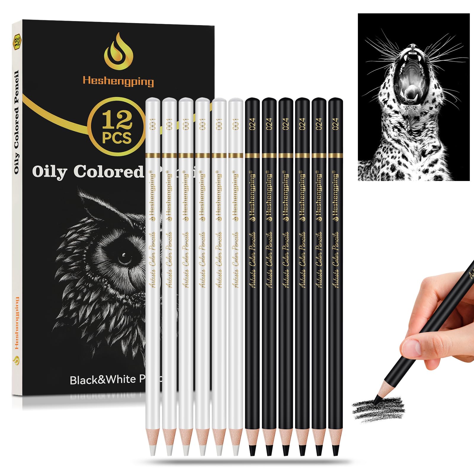 Heshengping 6 Black 6 White oil color pencils coloring drawing pencil oil-based wooden colored pencils for artists beginners artists, 12 pack