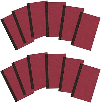 Roaring Spring Pocket Notebook, Pack of 12, 6.13" x 3.75", 72 sheets of 15# White Paper, Narrow Ruled, Durable Red Cover