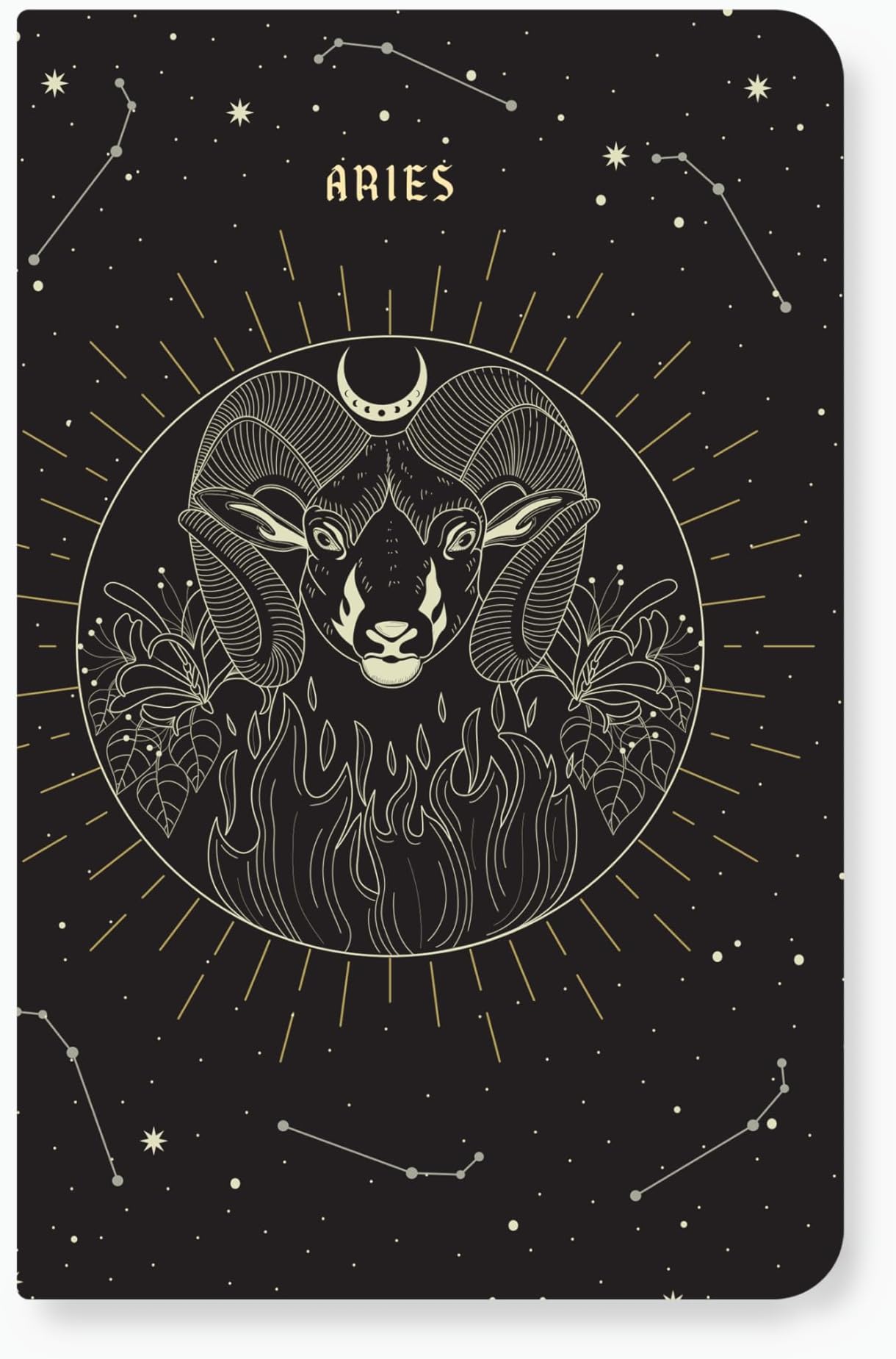 FACTOR NOTES A5 Notebook: Ruled | 90 GSM | 160 Pages(Aries)