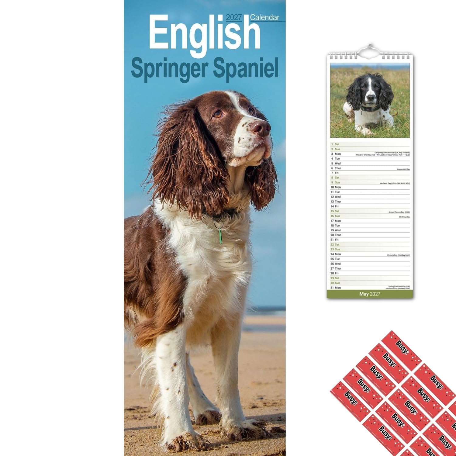 Avonside English Springer Spaniel 2027 Slimline Calendar with Stickers
