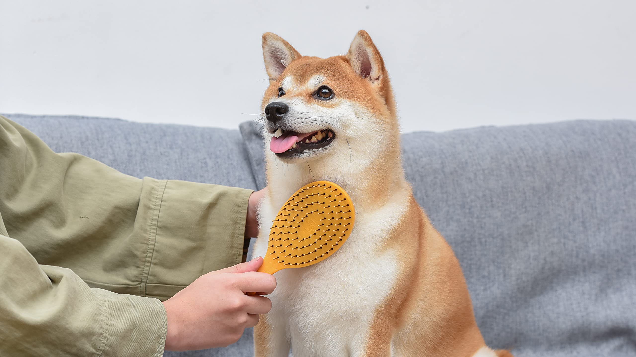 Burt's Bees Cepillo de doble cara para perros grandes con mango hecho de 100% plástico reciclado encuadernado al océano | Cepillo para perros 2 en 1 elimina enredos mientras suaviza la piel del perro