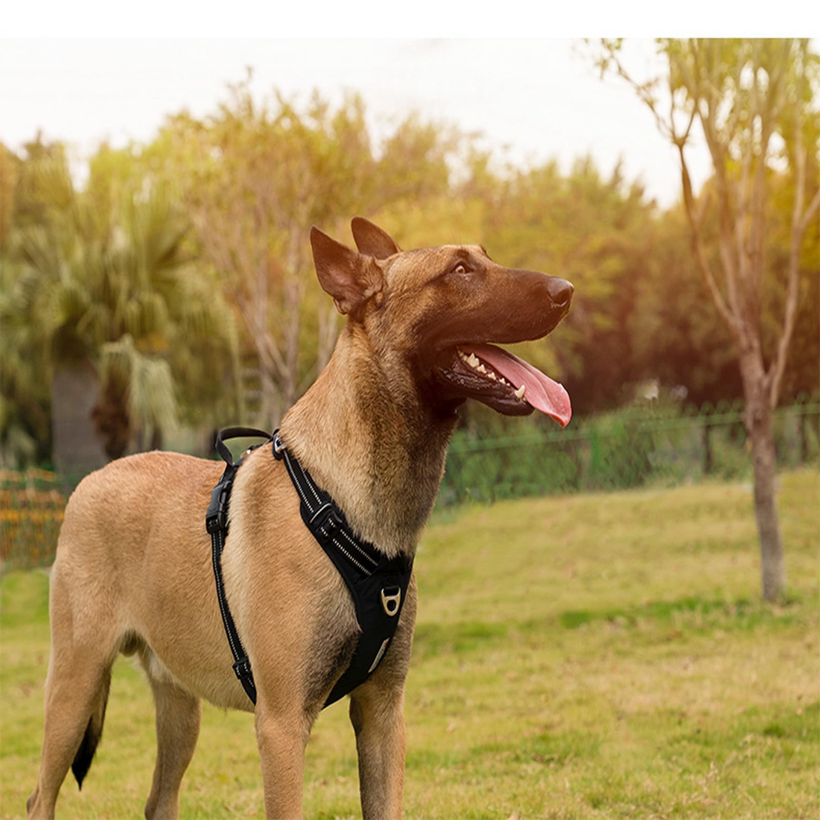 WINHYEPET Harnais pour Chien sans Traction, Gilet d'extérieur Ajustable, Harnais réfléchissant en Nylon Souple pour Chien, adapté aux Petites, Moyennes et Grandes Races TLH5654 | Harnais-gilet pour chien Truelove en nylon réfléchissant, avec poignée soupl
