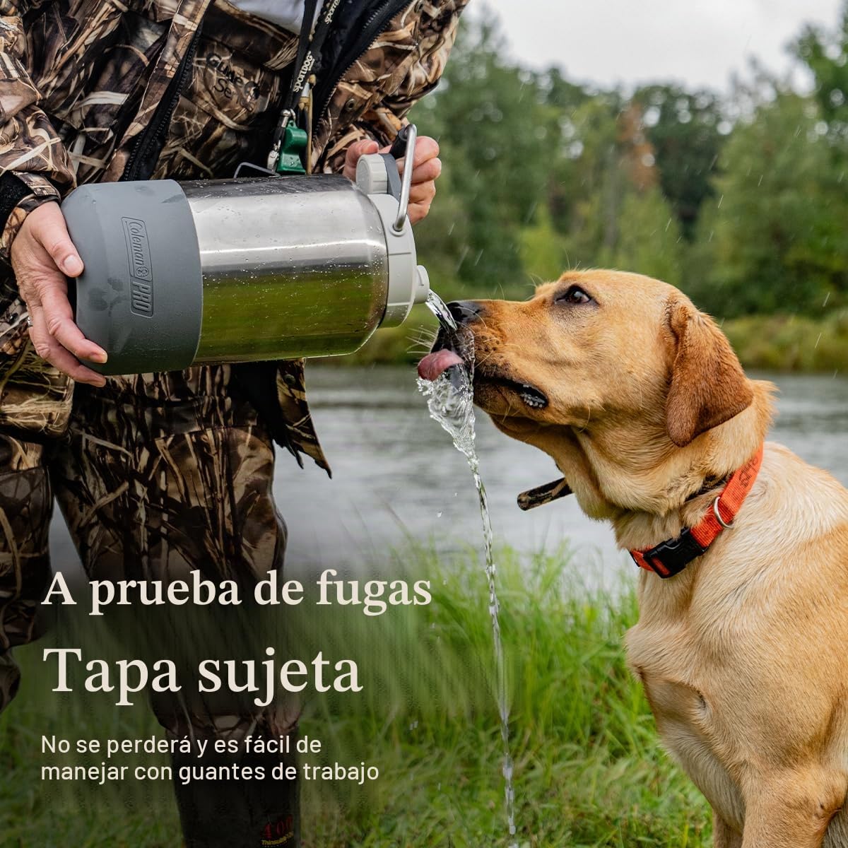 Coleman Pro - Jarra de agua aislada de alta resistencia a prueba de fugas para uso resistente al aire libre y lugares de trabajo, acero duradero con punto de anclaje para una máxima portabilidad
