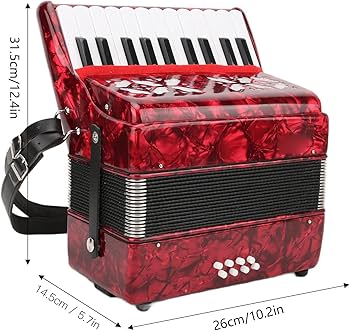 Amazon | 鍵盤アコーディオン 22キー アコーディオン 初心者用