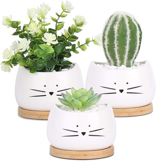 Amazon 陶器鉢 植木鉢 多肉植物鉢 サボテン鉢 小型植物適用 ミニ陶器鉢 おしゃれ かわいい フラワーポット 底穴付き 竹製受け皿付き 植物なし 誕生日 キッチン カウンター オフィスの装飾 3個 8cm 鉢