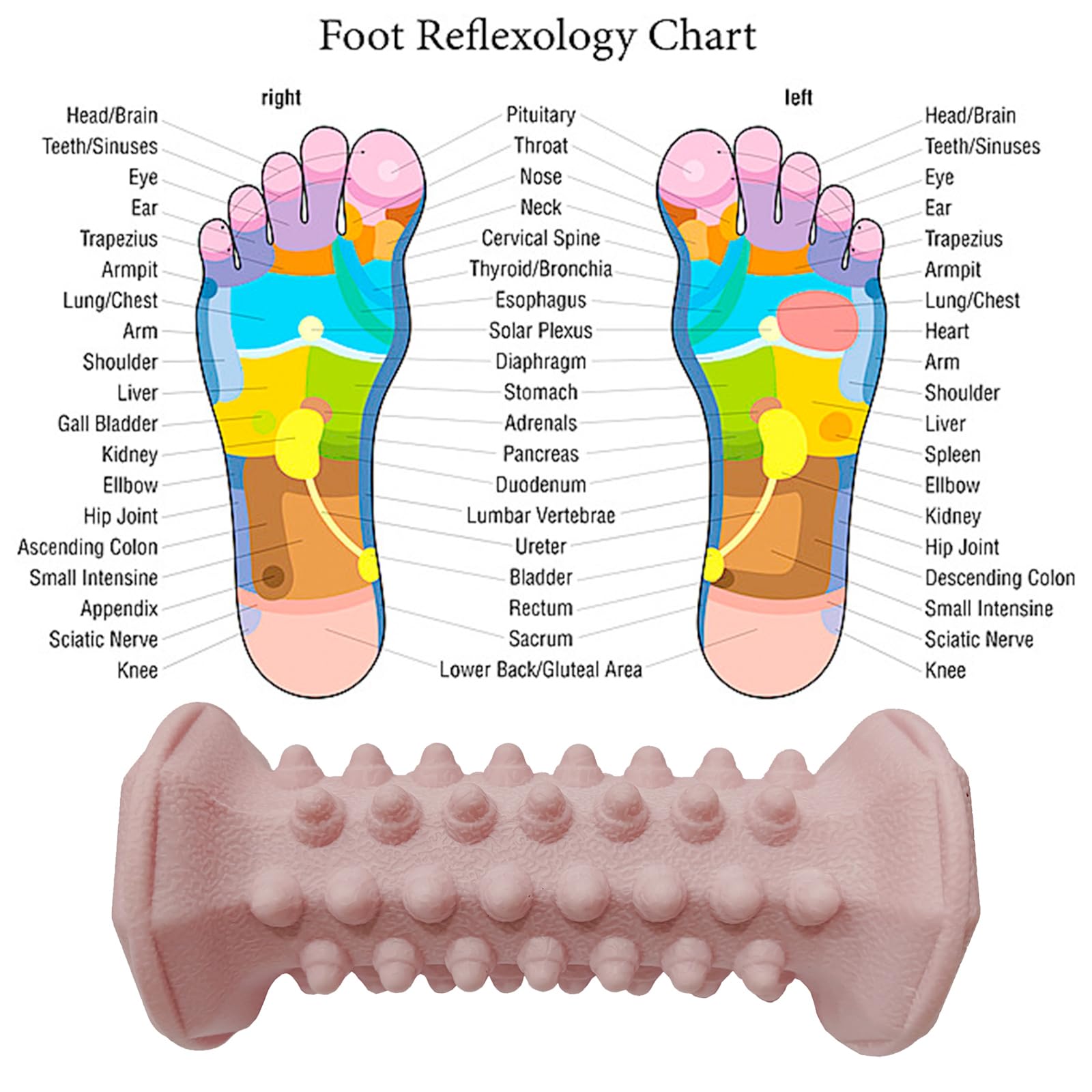 Juego de 4 bolas de masaje, rodillo de masaje para aliviar la fascitis plantar, terapia del dolor de pies, espolón de talón, punto de activación, espalda, brazo, cuello, dolor muscular