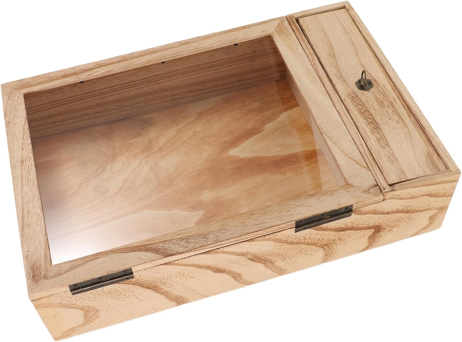 Wooden Insect Specimen Display Case with Shadow Box Frame, Wall-Mounted Butterfly and Dried Flower Display, Vintage Hollow Wood Frame for Home Decoration and Collectibles