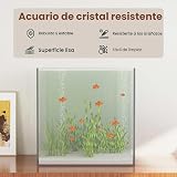 Ver la foto 4