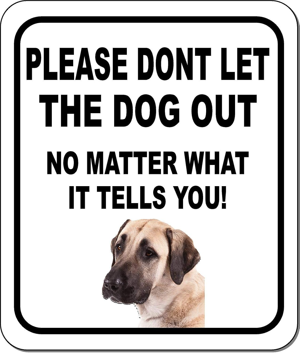 PLEASE DONT LET THE DOG OUT NO MATTER WHAT Anatolian Shepherd Aluminum Composite Outdoor Sign 15" x18"