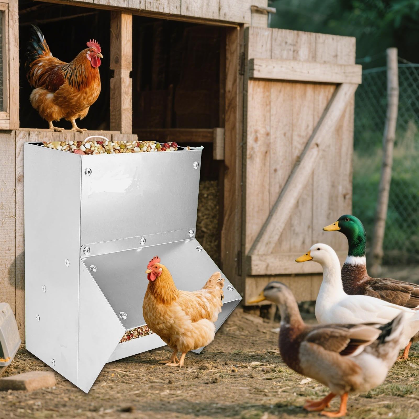 Sin Desperdicio para Pollos Equipo de alimentación para Aves | para patos, antidesperdicio y resistente al clima para patos, gallinas enanas, faisanes, gallineros, exterior y