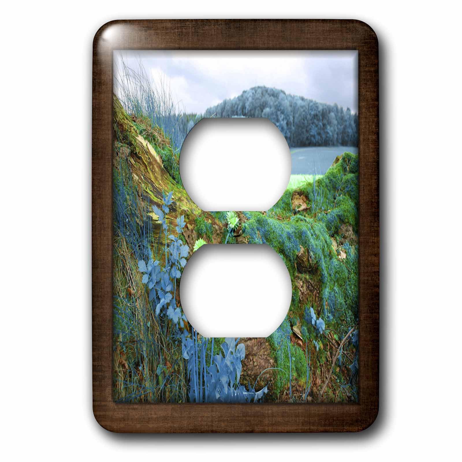 Pissenlit dans la nature 3dRose cache interrupteur de 15,2 cm