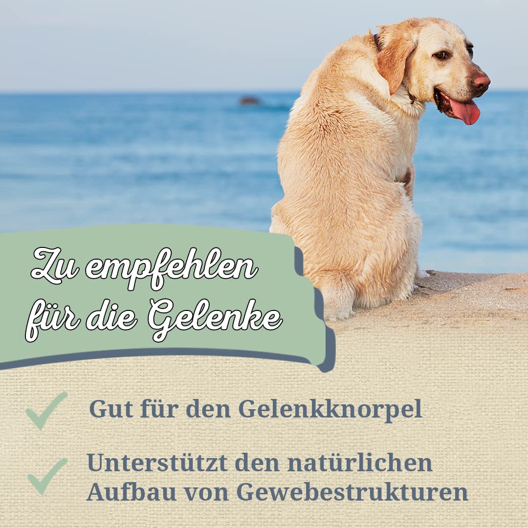 Krauterie Grünlippmuschel für Hunde, Pulver (250 g)