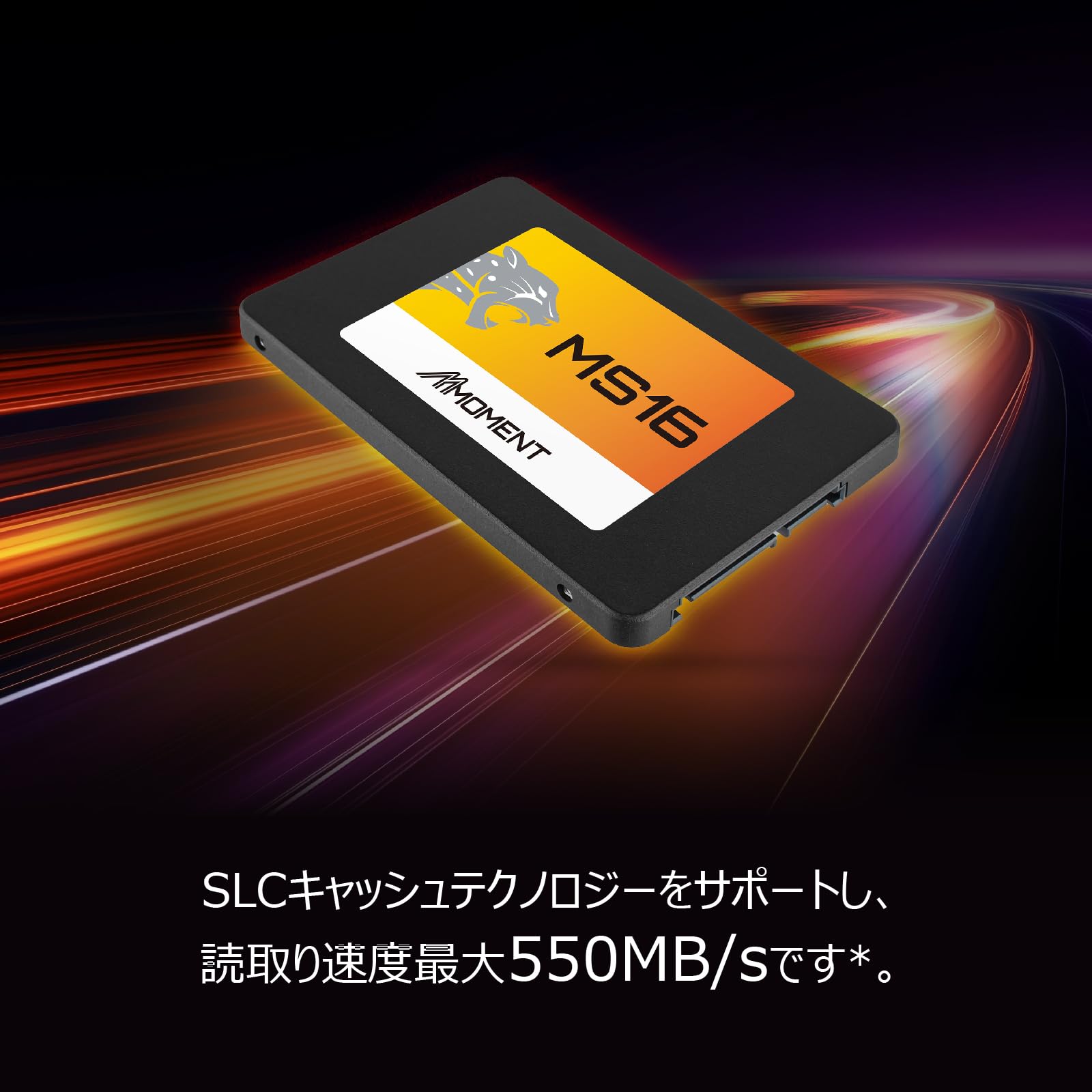 Amazon.com: MMOMENT MS16 256GB 2.5 Inch SATA III 6 GB/s Internal