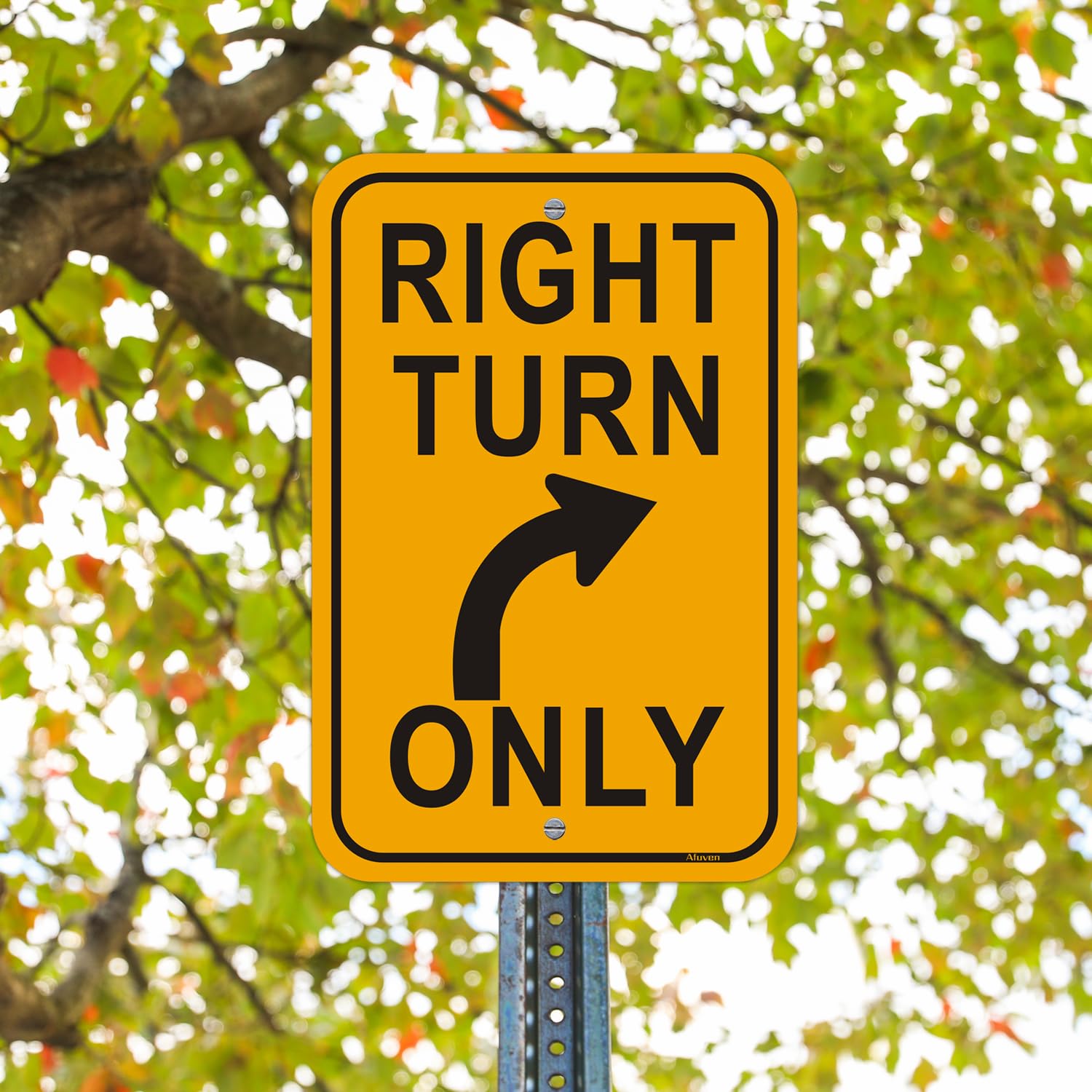 Right Turn Only Sign Dimensions
