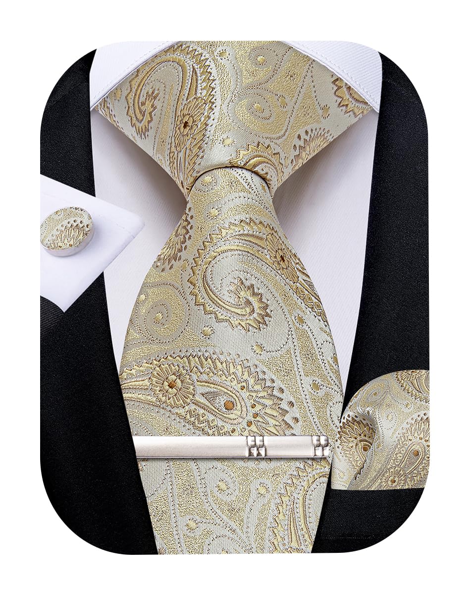 DiBanGu Silk Floral Ties for Men Woven Paisley Necktie