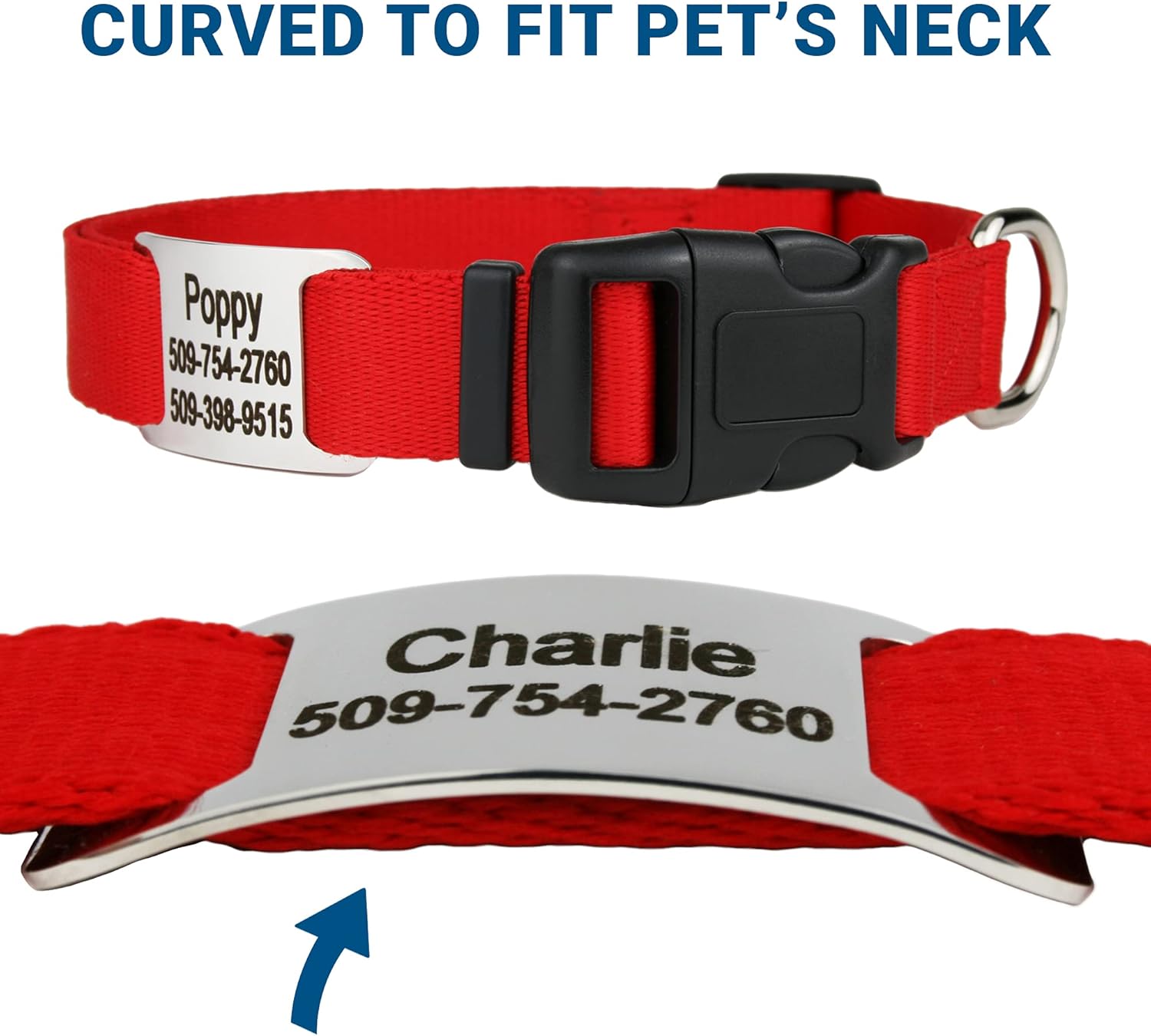 Dog collar with name tag built in Clearance