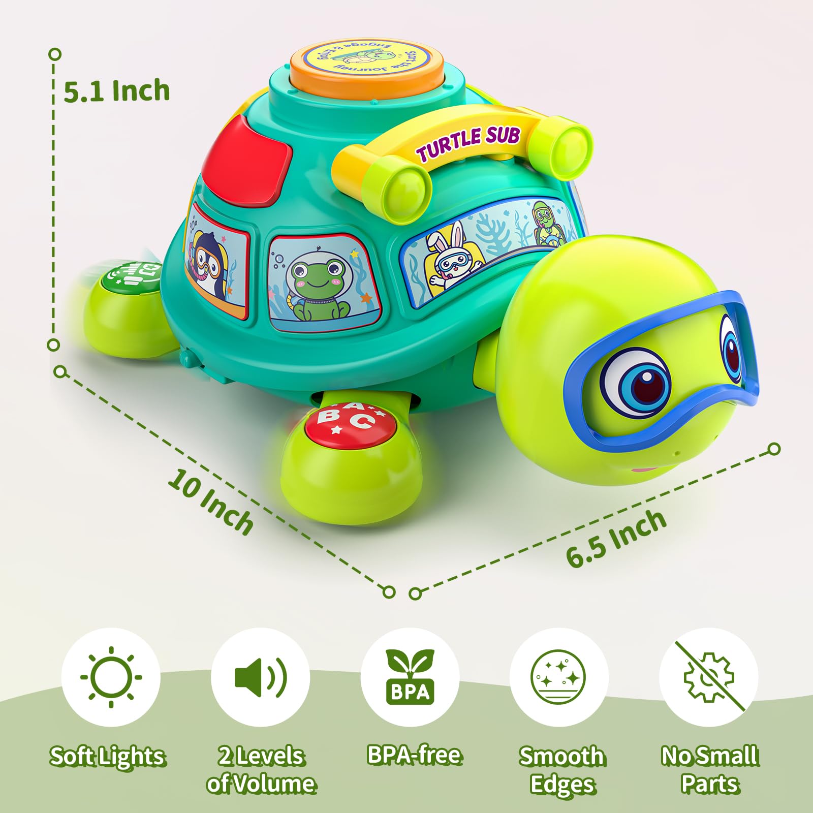 Amazon.com: ToddlerCley Musical Turtle Baby Toys 6-12 Months