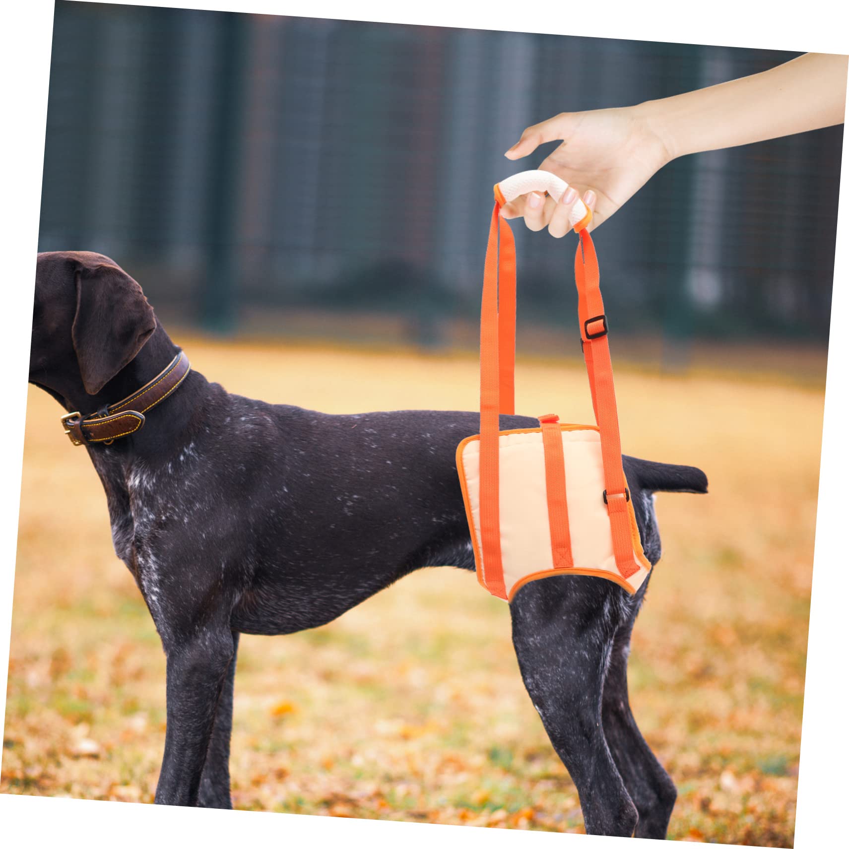 Amazon | iplusmile 犬の怪我用バンド ペットの脚サポートバンド