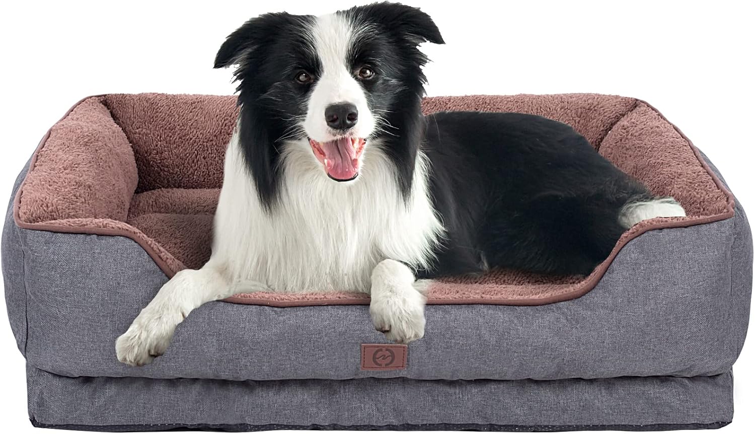 large double dog bed