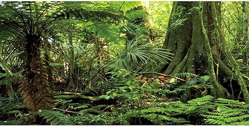 AWERT 36x20 inches Forest Terrarium Background Stone Green Huge Tree Reptile Hab