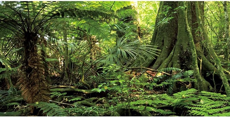 Fundo para Aquário e Terrário Floresta Verde com Árvore AWERT 91,44 x 45,72 cm
