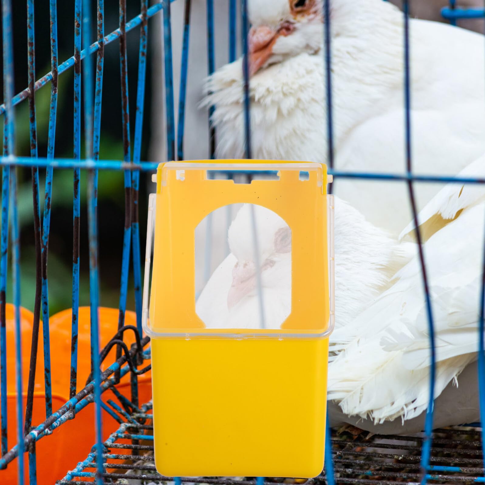 VANZACK 8 Piezas Comedero Colgante para Caja Alimentadora Multifuncional con Tapa Plástico Resistente Fácil de Colgar para Jaulas de Aves Domésticas Azul y
