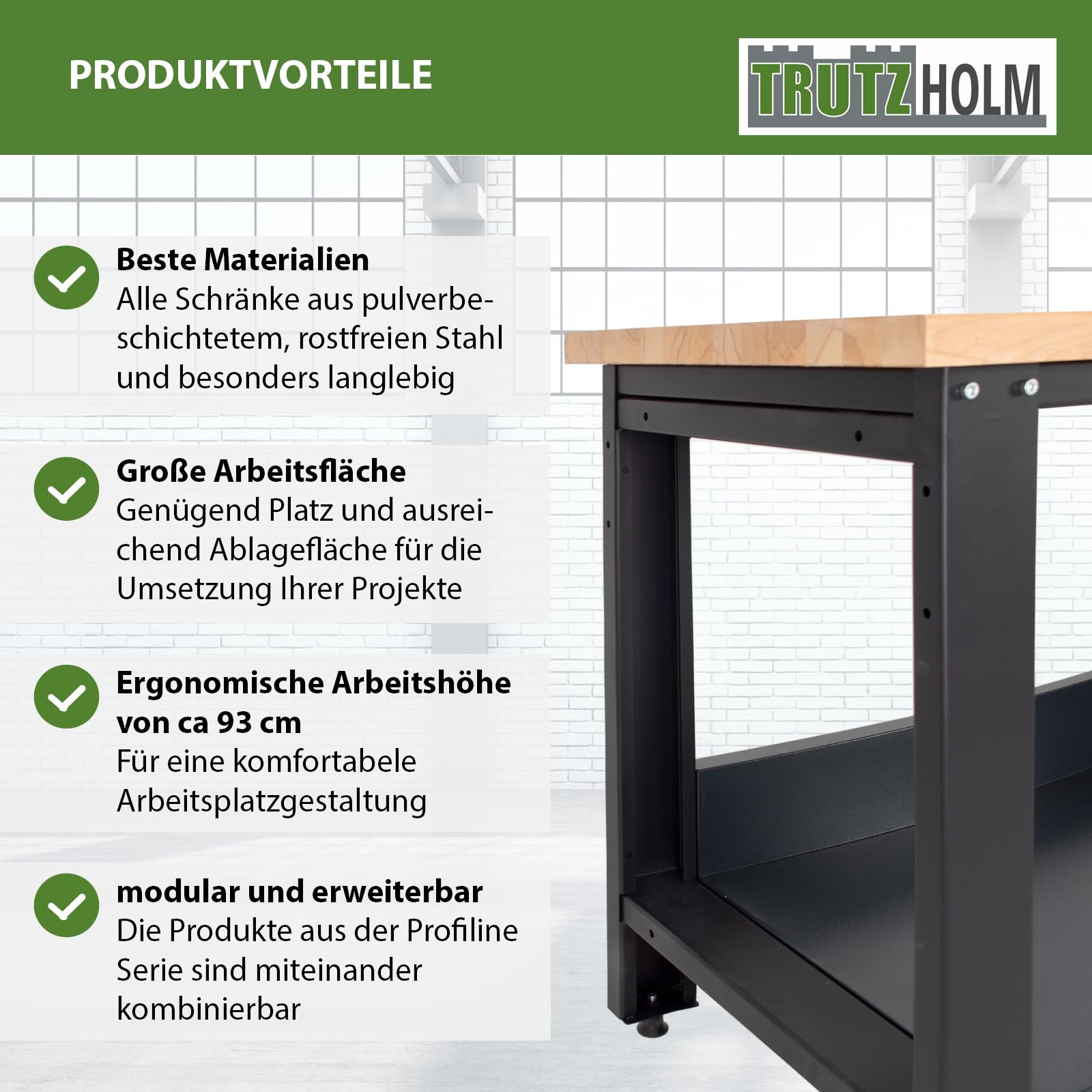 TRUTZHOLM Werkbank Profiline XXL 170 x 69 cm, 1000 kg Traglast, freistehender Werkstatttisch mit massiver Hartholzplatte, Robustes Stahlgestell, Arbeitshöhe 93 cm, anthrazit