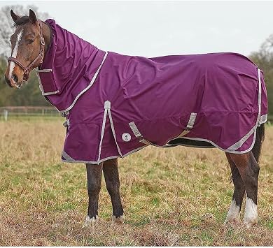 Derby House Elite 1680 Denier with Snuggy Detach-A-Neck Combo Waterproof Turnout Sheet