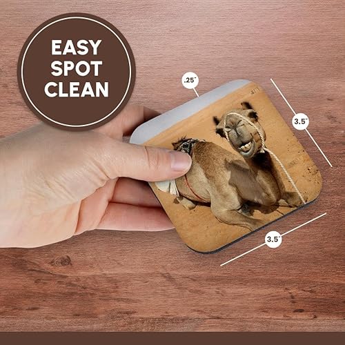 Miniatura 7 de 3dRose CST_164767_2 Camello sonriente descansando en el campamento beduino en Omán Foto de Rhonda Albom Soft Coasters, (juego de 8)